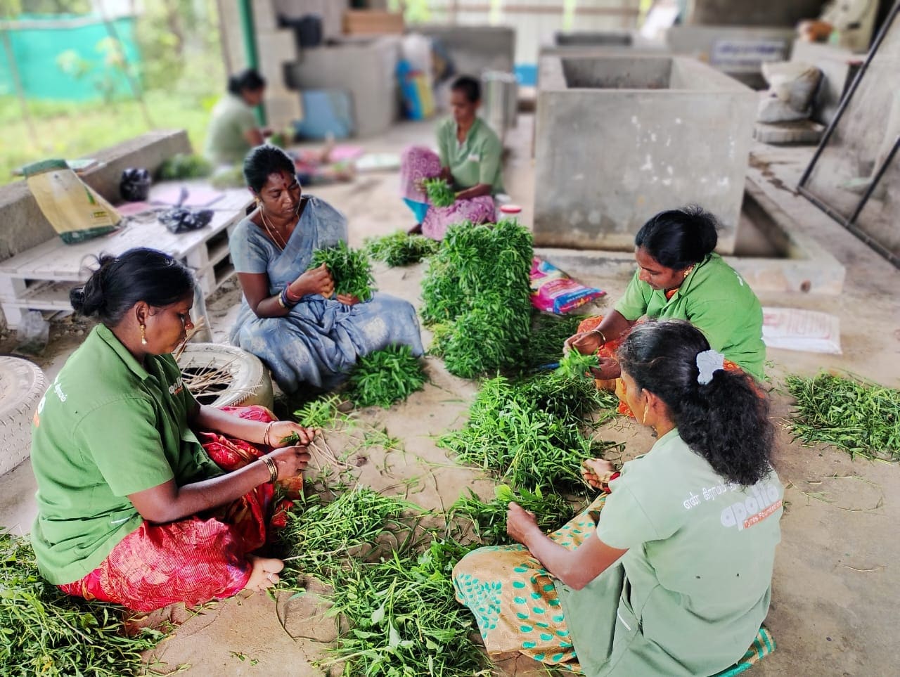 Community Development